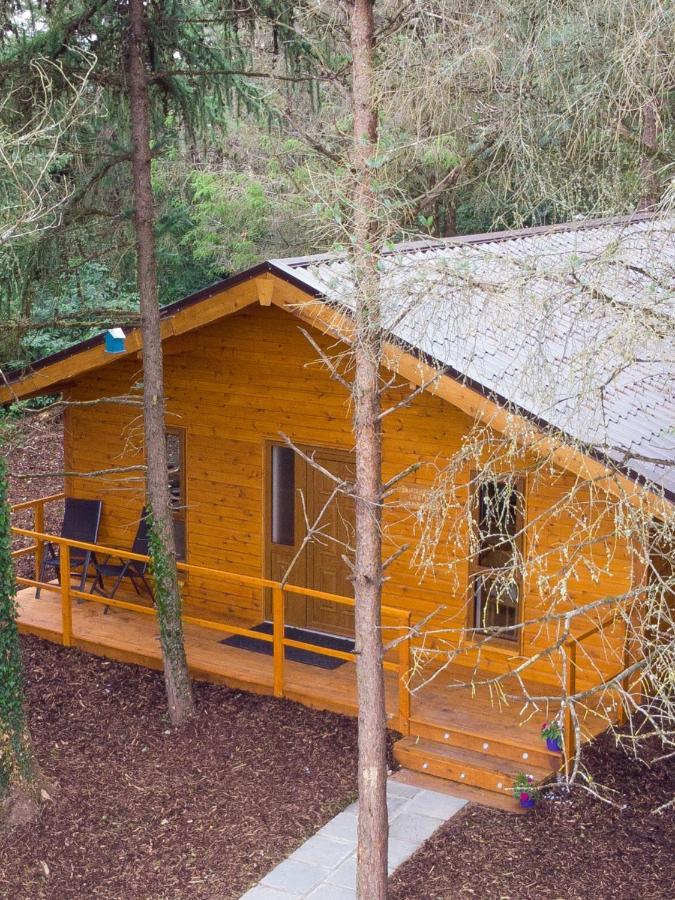 Butterfly Cabin Villa Limerick Exterior photo